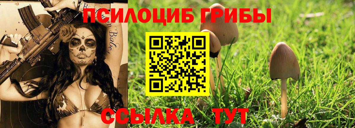 Псилоцибиновые грибы GOLDEN TEACHER Аксай
