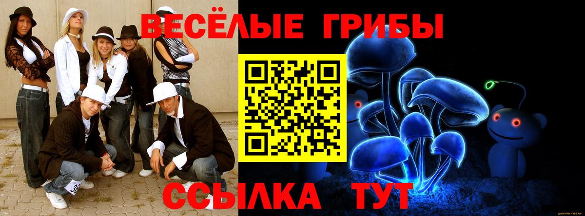Галлюциногенные грибы Psilocybe  Вход с VPN  Аксай 